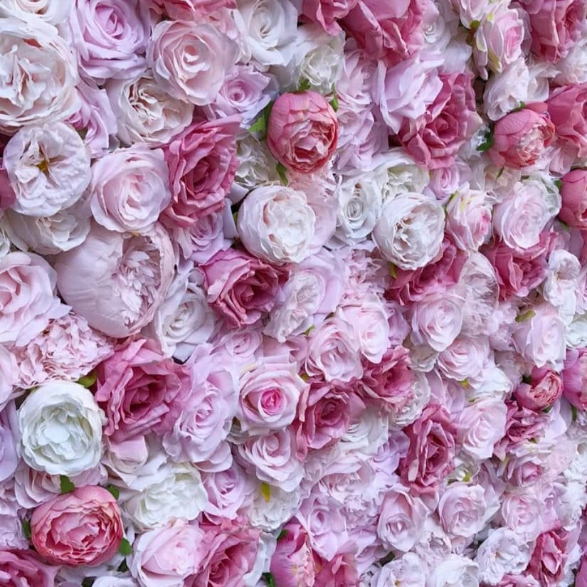 Flower Wall Blush Beauty